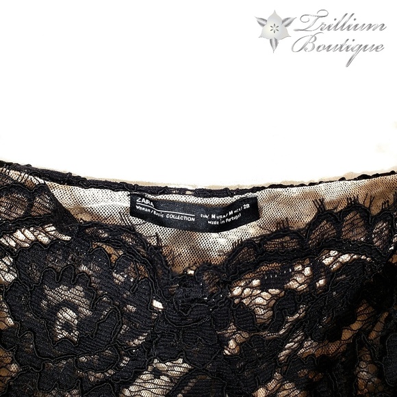 Zara Basic Collection Lace Bralette/Crop Top M - Picture 4 of 5